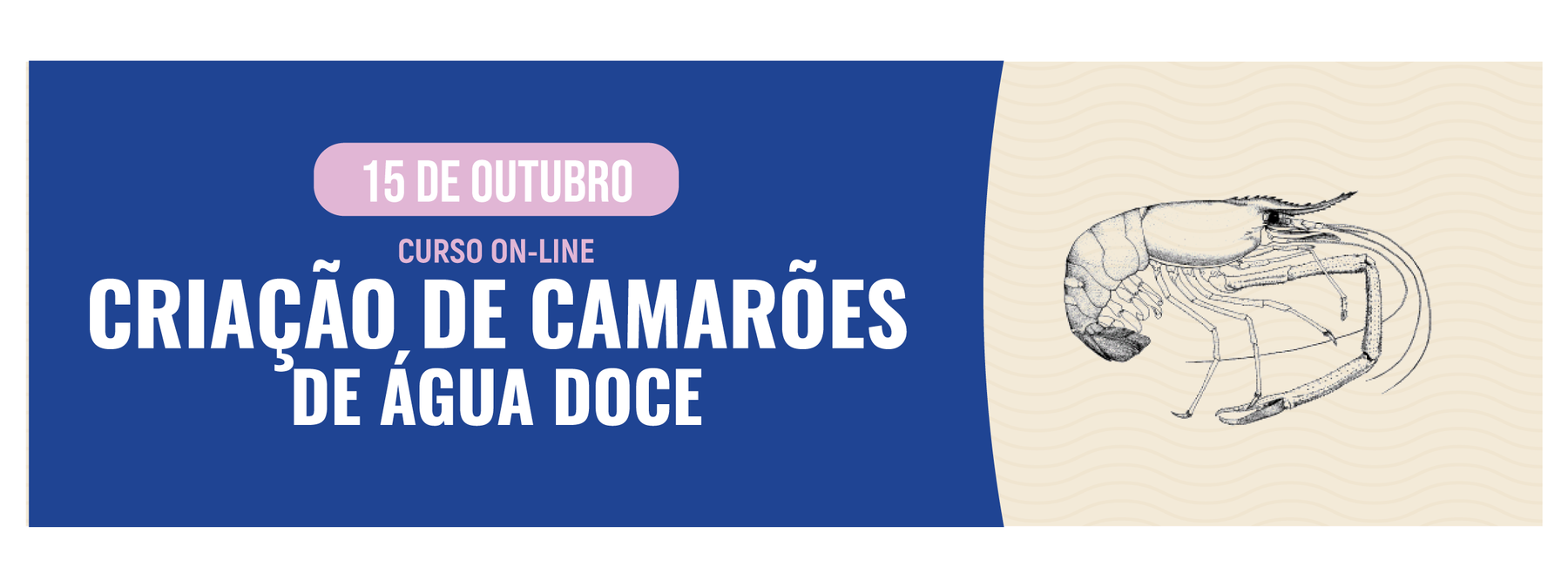 CURSO ON-LINE: CRIAÇÃO DE CAMARÕES DE ÁGUA DOCE
