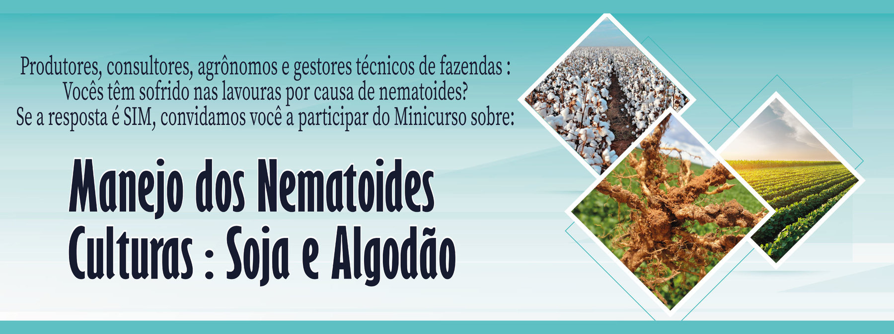 Manejo dos Nematoides da soja e do Algodoeiro no Brasil